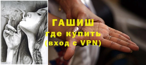 шишки Бородино