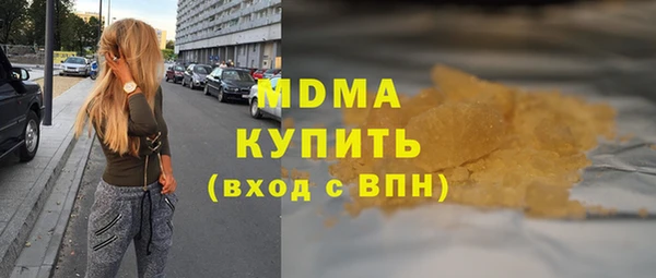 шишки Бородино