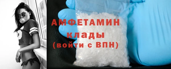 шишки Бородино