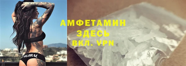 шишки Бородино