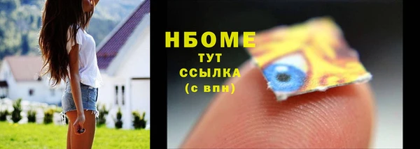 шишки Бородино
