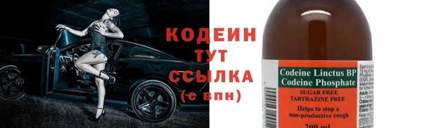 шишки Бородино