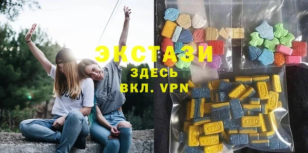 шишки Бородино