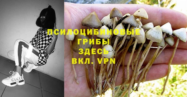 стафф Бугульма