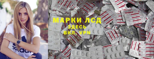шишки Бородино