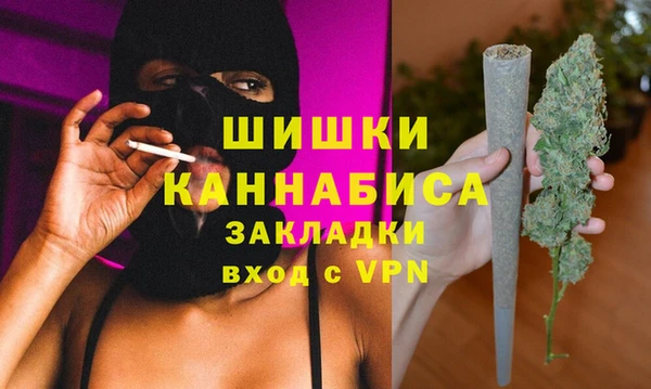 шишки Бородино