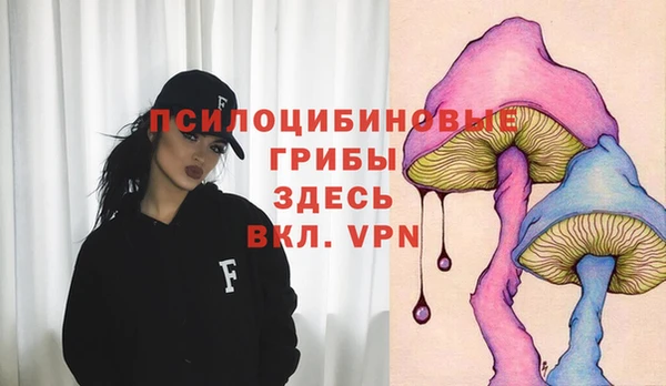 шишки Бородино