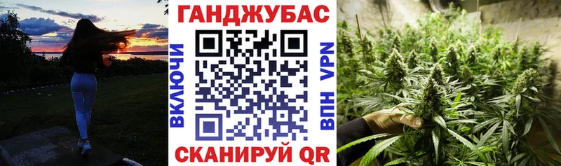 Каннабис индика  Староминская 